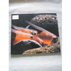 Les quatre saisons du saumon du Pacifique