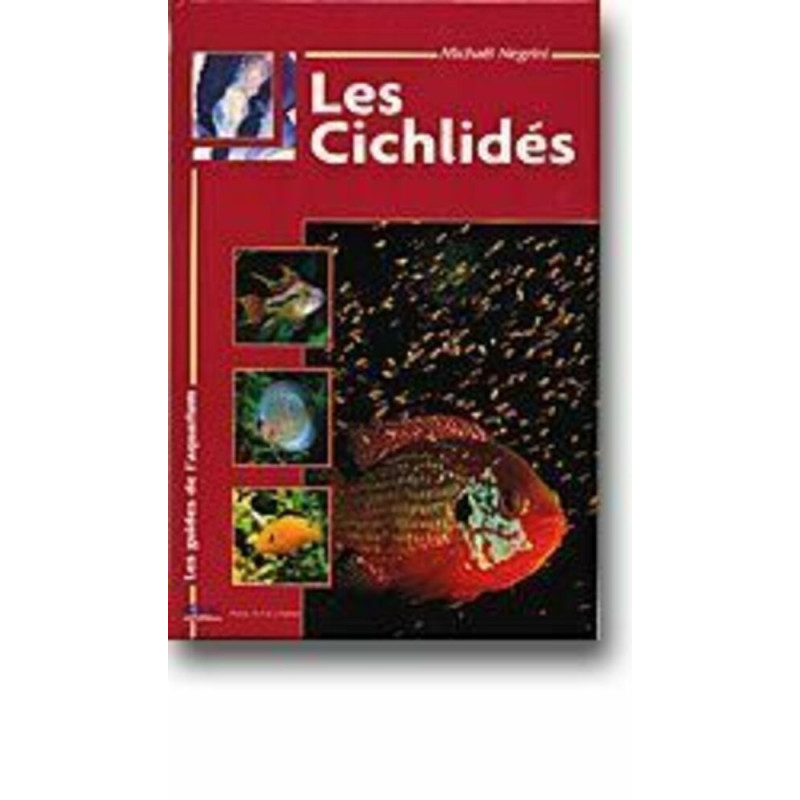 Les cichlides