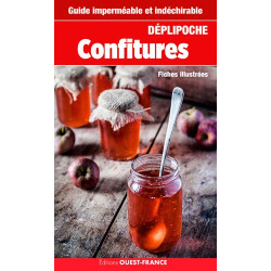 Déplipoche - Confitures astuces et recettes de saison