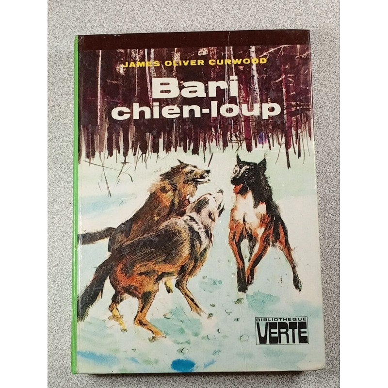 Bari chien-loup
