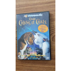 Chiens et chats