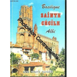 Basilique Sainte Cecile - Albi - Une Visite Guidee