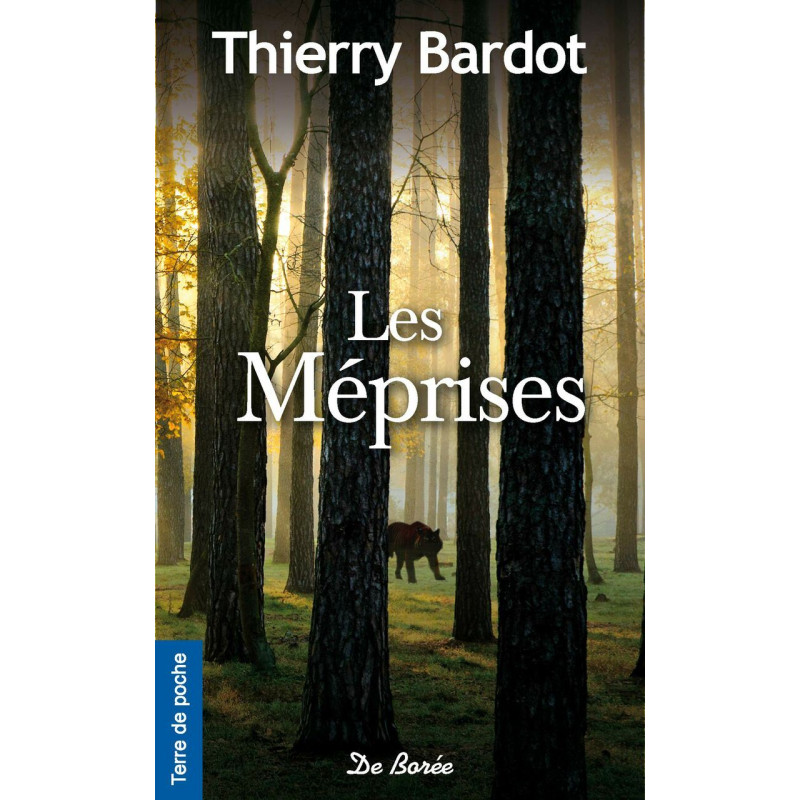 LES MÉPRISES