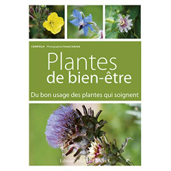 Plantes de bien-être