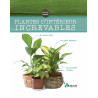 Plantes d'intérieur increvables