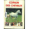 Copain des chevaux : à la découverte des fils du vent