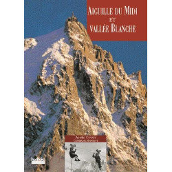 Aiguille du Midi et la Vallée Blanche