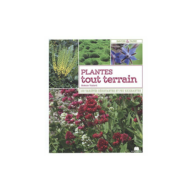 Plantes tout terrain