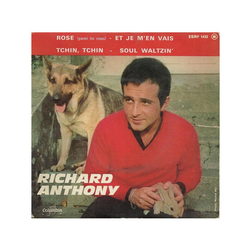 Rose (Parmi Les Roses)