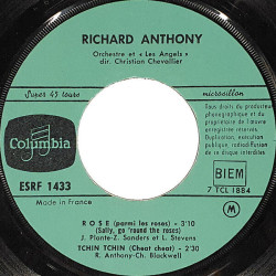 Rose (Parmi Les Roses)