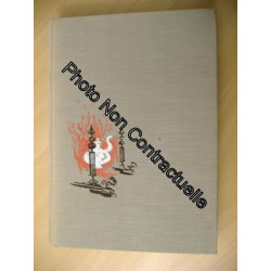 Le Grillon du foyer suivi de Cantique de Noël par Charles Dickens....