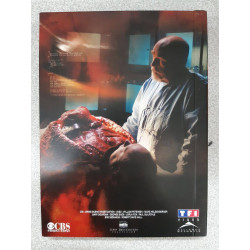 Les experts: saison 6