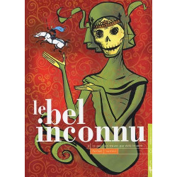 Le bel inconnu - tome 2 : Ce que l'on trouve par delà le pont