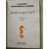 Qu'est-ce que c'est? 300 uestions 300 réponses
