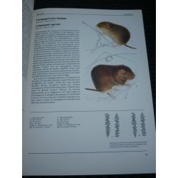 Animaux de tous les pays gründ