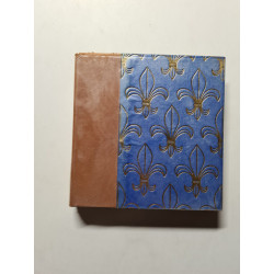 Histoire de France tome treizieme