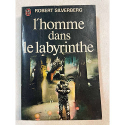 L'homme dans le labyrinthe