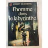 L'homme dans le labyrinthe
