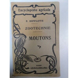 p Diffloth Encyclopédie Agricole Zootechnie Moutons