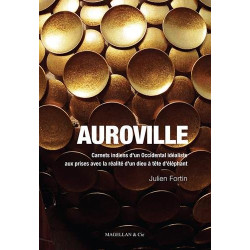 Auroville: Carnets indiens d'un Occidental idéaliste aux prises...
