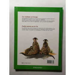 Les animaux en groupe