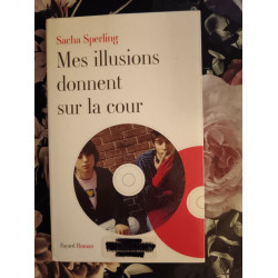 Mes illusions donnent sur la cour