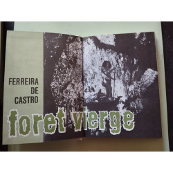 Foret vierge