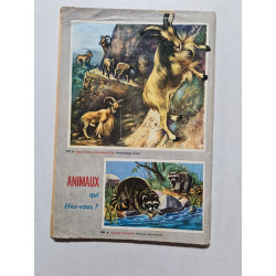 Rin Tin Tin et Rusty nº 76