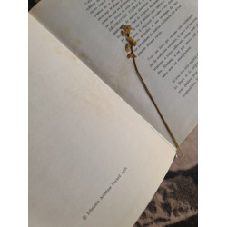 Comment arranger vos fleurs - l'art du bouquet