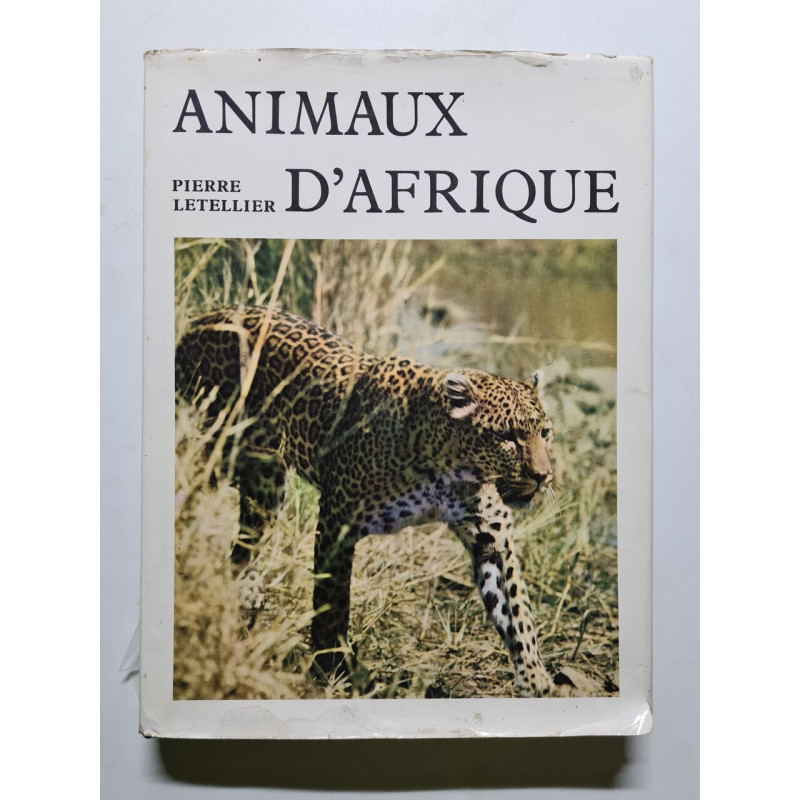 Animaux d'Afrique