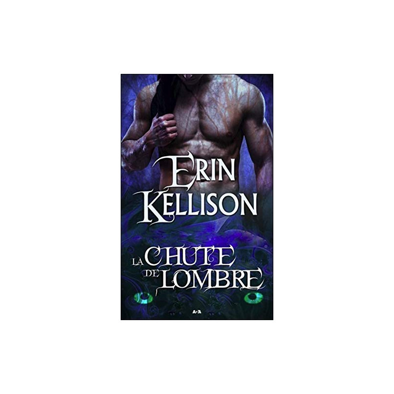 La chute de l'Ombre - Série de l'Ombre T2