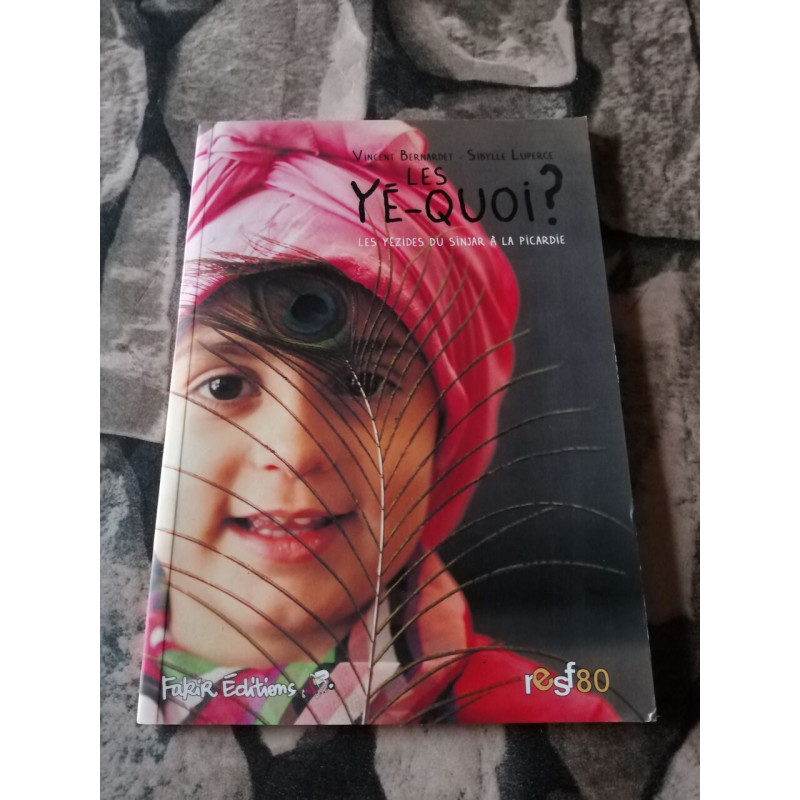 Les Yé-quoi ?: Les Yezides du Sindjar à la Picardie