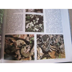 Les Bayous de la louisiane Collection Les Grandes étendues...