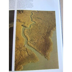 Les Bayous de la louisiane Collection Les Grandes étendues...