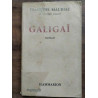 Galigaï flammarion