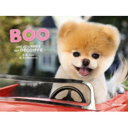 Boo une journée qui décoiffe