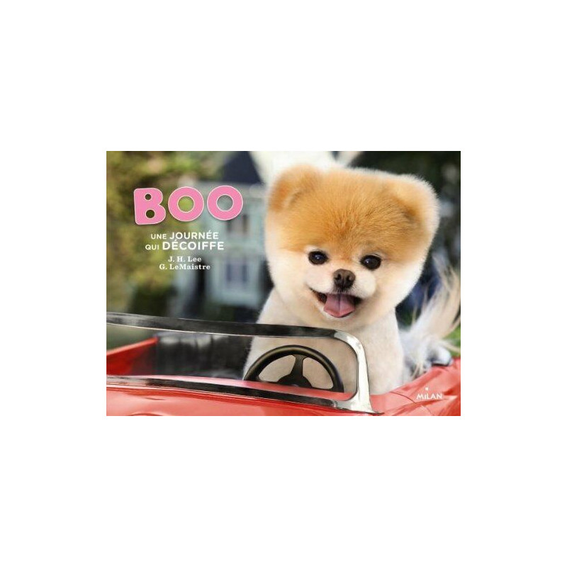 Boo une journée qui décoiffe