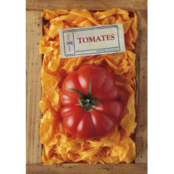 Tomates