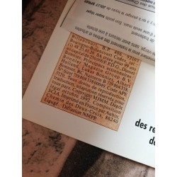 Persistants classiques et differents les coniferes