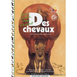 Des chevaux