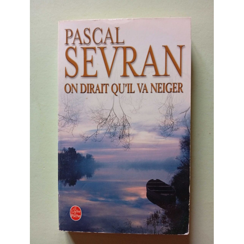 On dirait qu'il va neiger