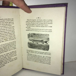 Morin insectes REPTILES ET POISSONS Librairie d'éducation Amable...