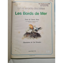 La vie secrète des bêtes les bords de mer