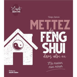 Mettez du feng-shui dans votre vie: Ma maison mon miroir