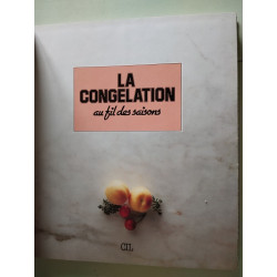 LA CONGELATION AU FIL DES SAISONS