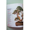 L'art du Bonsai