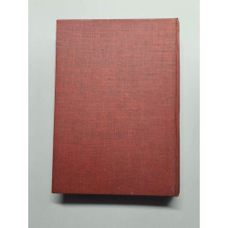 Le grand cirque - Souvenirs d'un pilote de chasse français dans la...