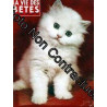 VIE DES BETES (LA) N° 138 du 01-01-1970 PALMIPEDES SAUVAGES - JE...