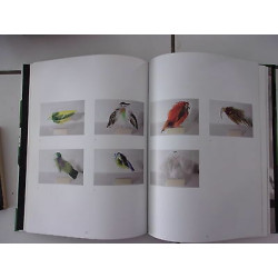 monographie JOEL DESBOUIGES Métaphores 2005 2011