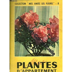 Mes plantes d'appartement